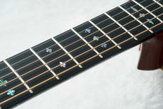Stafford SF-5C -NT-【数量限定アクセサリーセット付!】【ビギナーにおススメ!】_6