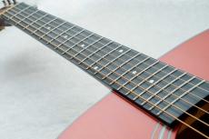 Stafford SF-3F -CS-【数量限定アクセサリーセット付!】【ビギナーにおススメ!】_5