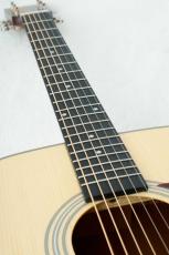 Stafford SF-3D -NT- 【数量限定アクセサリーセット付!】【ビギナーにおススメ!】_4