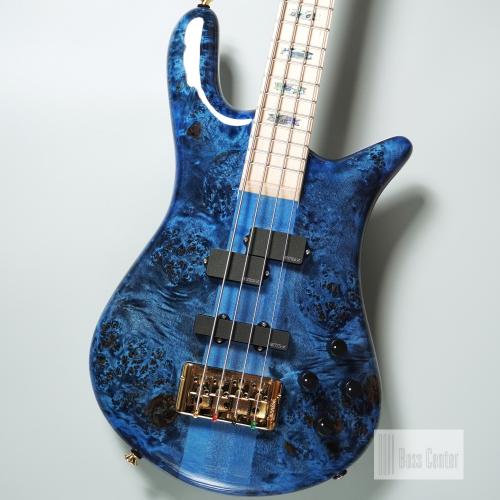 Spector 【夏の決算セール】Japan Exclusive Series EURO 4 CST -Black & Blue w/White Back Gloss-