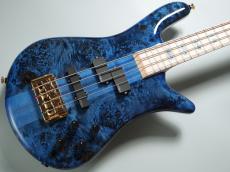 Spector 【夏の決算セール】Japan Exclusive Series EURO 4 CST -Black & Blue w/White Back Gloss-_4