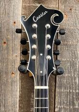 Cooster  CS-F5S Dark Cherry Burst #240026_5