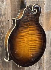 Cooster  CS-F5S Dark Cherry Burst #240026_7
