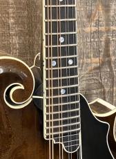 Cooster  CS-F5S Icelandic Brown #240027_4