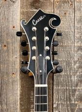 Cooster  CS-F5S Icelandic Brown #240027_5