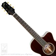 Switch SL-2 Bee【セール開催中!36回無金利対象品】_6
