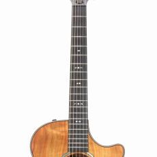 Taylor 722ce Koa/Koa_6