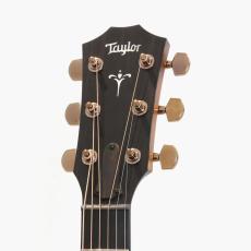 Taylor 722ce Koa/Koa_7