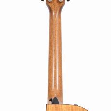 Taylor 722ce Koa/Koa_9