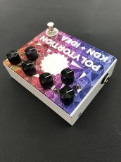 KarDiaN POLYTORTiON_6