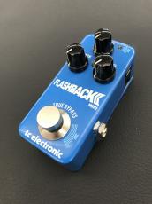 tc electronic Flashback Ⅱ Mini