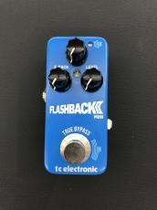 tc electronic Flashback Ⅱ Mini_2