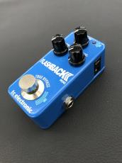 tc electronic Flashback Ⅱ Mini_4
