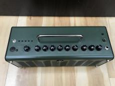 YAMAHA THR10X_2