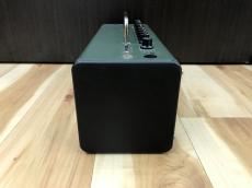 YAMAHA THR10X_5
