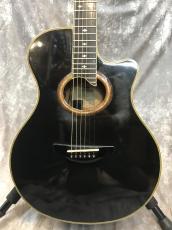 YAMAHA APX-10S_2