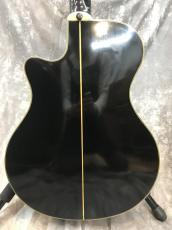 YAMAHA APX-10S_3