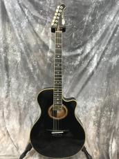 YAMAHA APX-10S_4