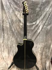 YAMAHA APX-10S_5