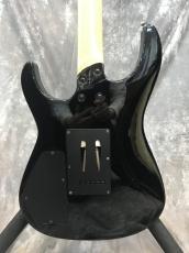 FERNANDES FR-40_3