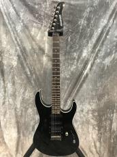 FERNANDES FR-40_4