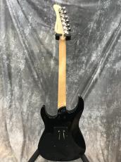 FERNANDES FR-40_5