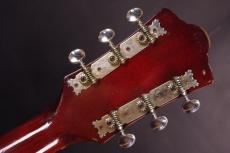 Guild D-35_5