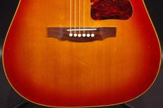 Guild D-35_9