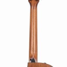 Taylor 324ce Mahogany Shaded Edgeburst Top_9