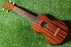 Famous FS-1G Soprano_2