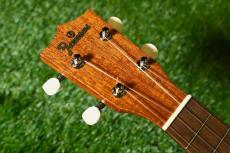 Famous FS-1G Soprano_5