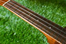Famous FS-1G Soprano_7
