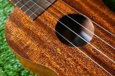 Famous FS-1G Soprano_9