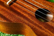 Famous FS-1G Soprano_10