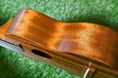 Famous FS-1G Soprano_14