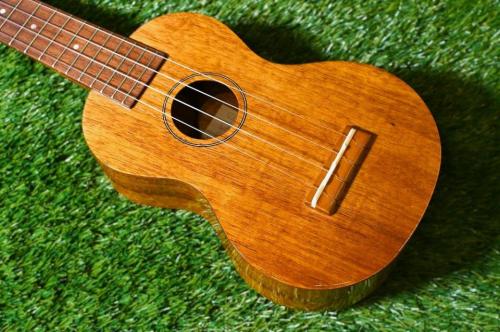 Famous FS-5G Soprano