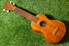 Famous FS-5G Soprano_2