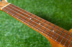 Famous FS-5G Soprano_7