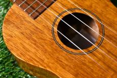 Famous FS-5G Soprano_9
