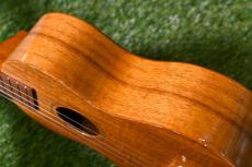 Famous FS-5G Soprano_14