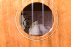 Famous FS-5G Soprano_15