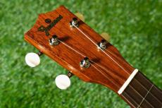 Famous FC-1G Concert_5
