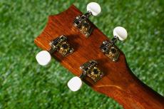 Famous FC-1G Concert_6