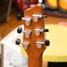 Godin LG P-90_4