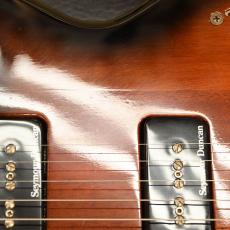Godin LG P-90_5