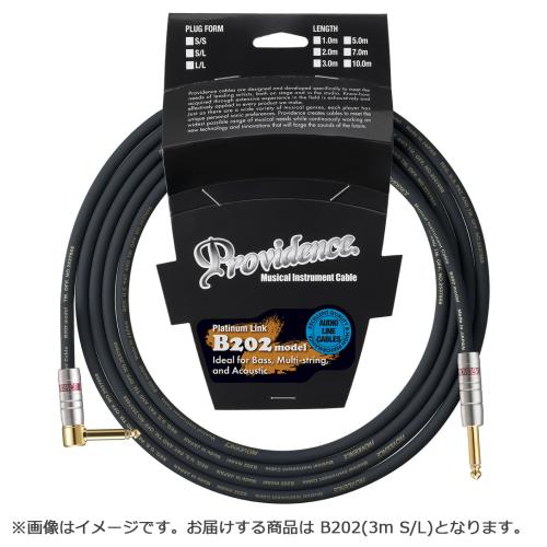 Providence B202 3m S/L シールド Bottomfreq'er