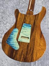Paul Reed Smith [PRS] Private Stock Custom24 「Sub-Zero Glow 」 2025年製 " 美品中古 "_4