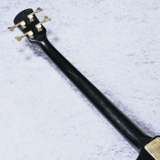 FERNANDES NV-65NS【4.24kg】_8