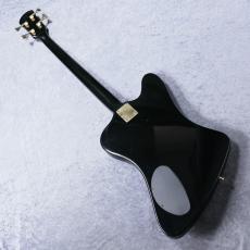 FERNANDES NV-65NS【4.24kg】_10