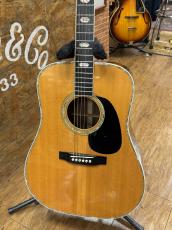 Martin D-41【無金利キャンペーン】